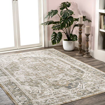 Keesha Bold Distressed Medallion Low-Pile Machine-Washable Area Rug
